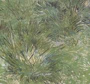 Vincent Van Gogh Clumps of Grass (nn04) France oil painting artist